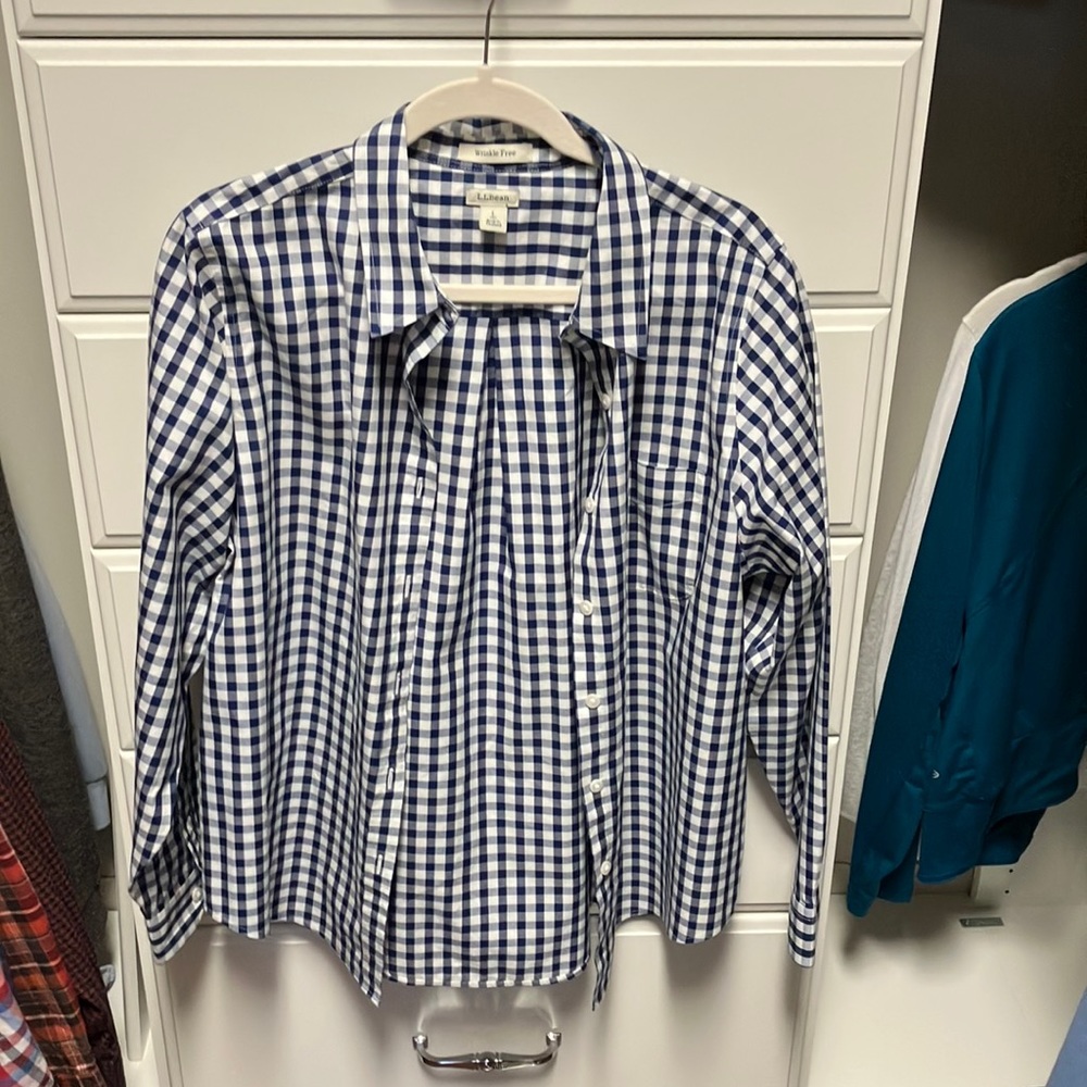 Large petite button down gingham shirt. Only worn a few times—great condition.
